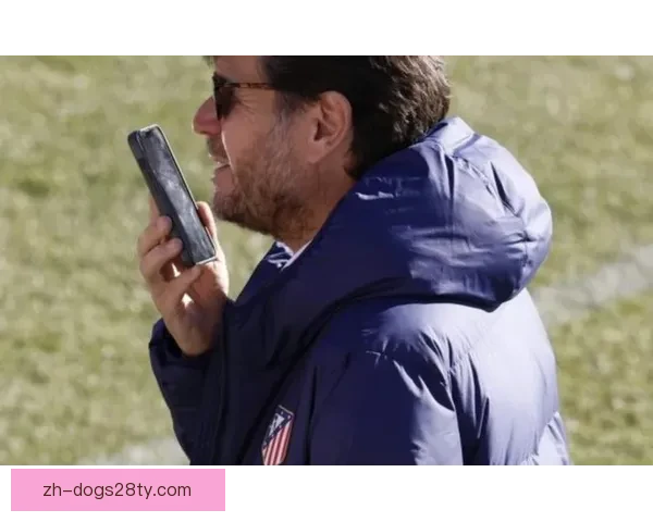 西蒙尼阿莱马尼引援争议传闻零 西蒙尼阿莱马尼引援争议传闻零