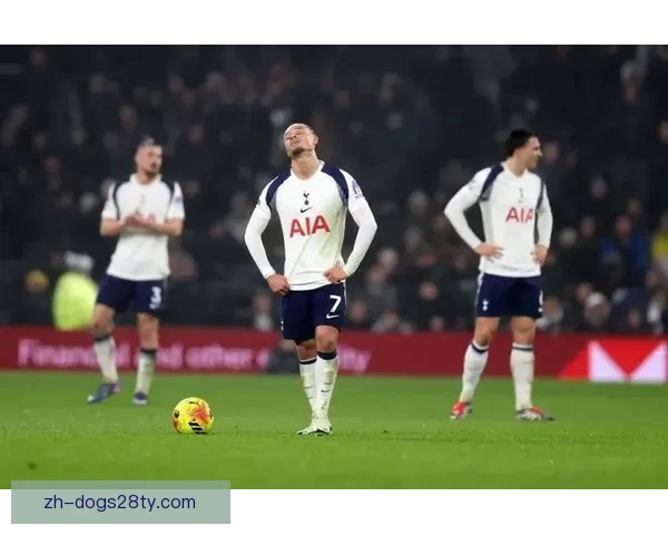 马特劳称热刺无降级减薪条款